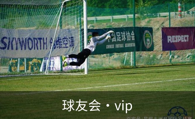 球友会·vip简介